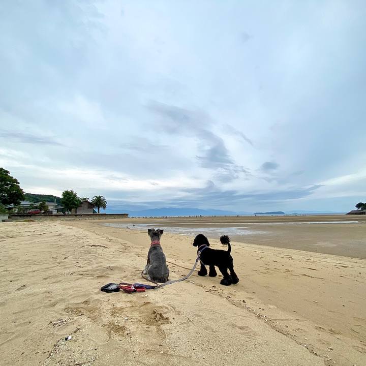 Defa47f1 1f79 4e59 b983 89f7de0a82e0 1600505423328