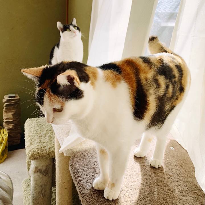 Defa7914 0d04 4e49 b814 583e2422c03c 1556849276943