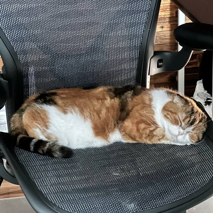 Defa8a3b bc78 4da6 92f0 554d63bb37fd 1726813919293