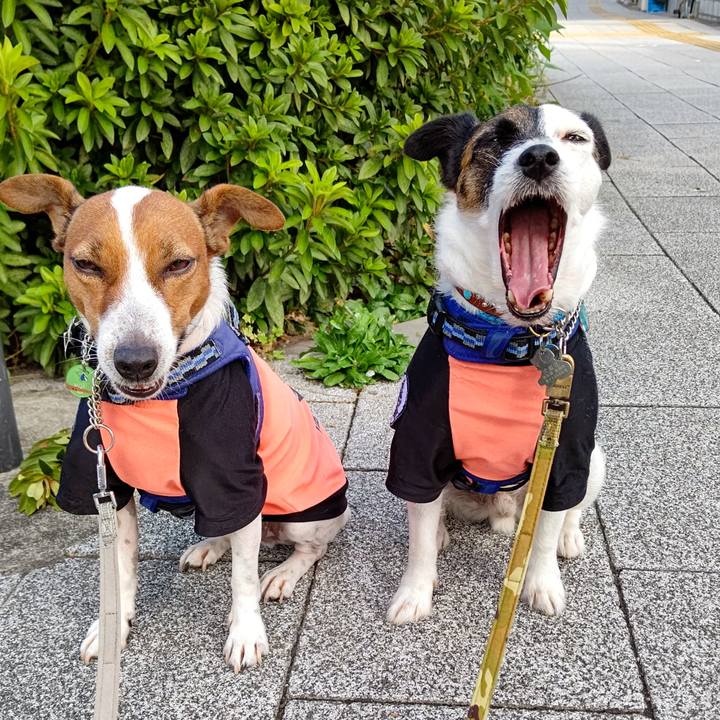 Defaa2e7 fe14 4956 ab61 b79ed7ca3e16 1633387385245