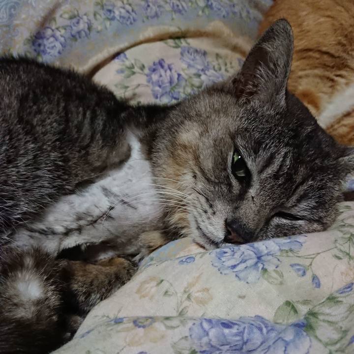 Defad906 0da6 4d46 92e2 e23d516320e9 1589461585201