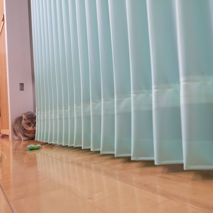 Defae354 2850 4f76 90b2 fcb3465518fa 1571211328351