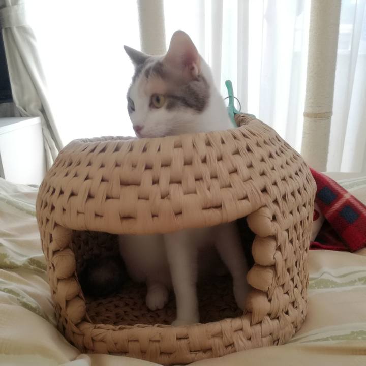 Defb27eb 0928 4952 8aff 9e997160f9ee 1524095459822