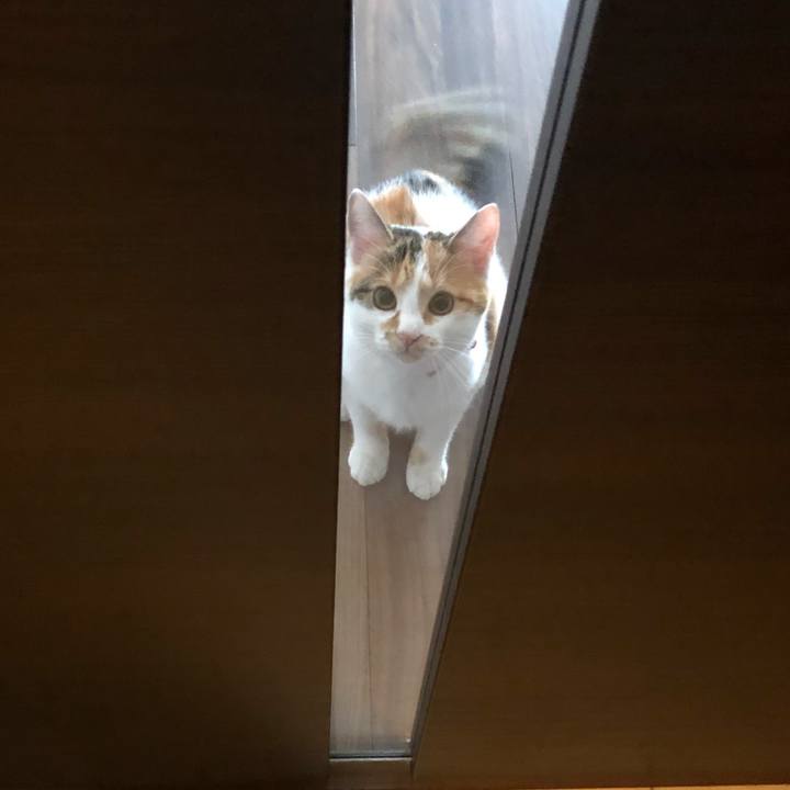 Defb2980 fa89 40c0 a79d 785919e05453 1572478409705