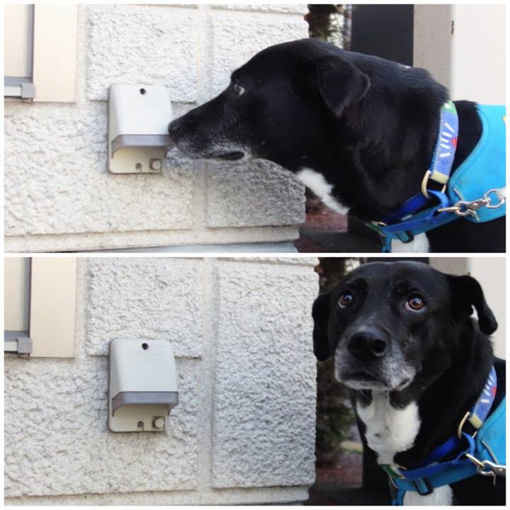 Defb3239 f9f0 403e 884b dc1ba474f3a9 1683803659913