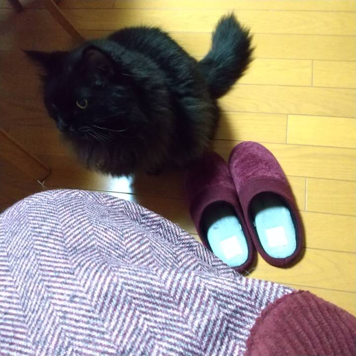 Defb4b8a 6ee9 4ea6 aa28 b5d5742034ed 1698058601846