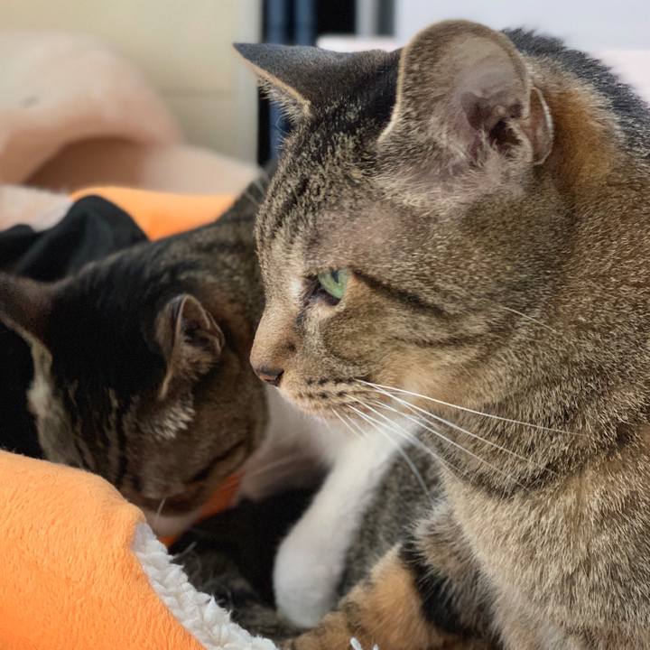 Defb6165 bcd2 4577 9647 9e068aea9c8b 1563066874419