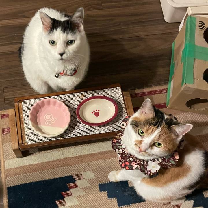 Defb895d e884 4928 84a1 45c92125f8f1 1766667511418