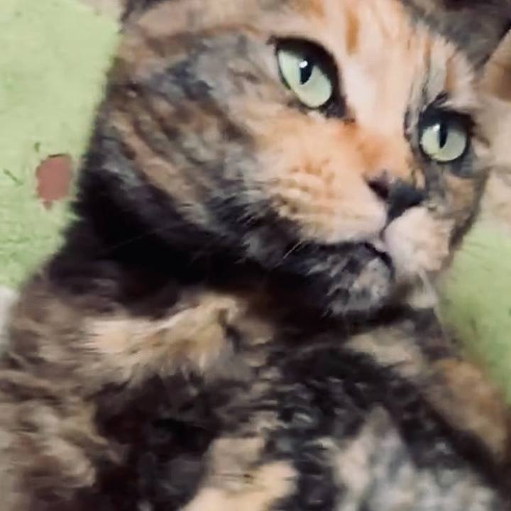 Defbc5d7 4ea4 43c8 ae67 1df1ce1c3a89 1745696727628