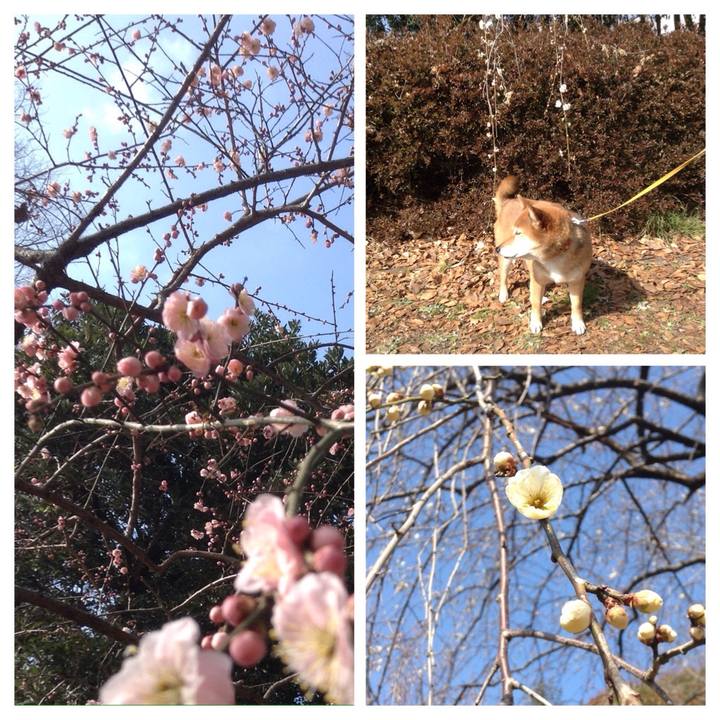 Defbd369 6cdf 49cb 8563 38e6398be47f 1518771907551