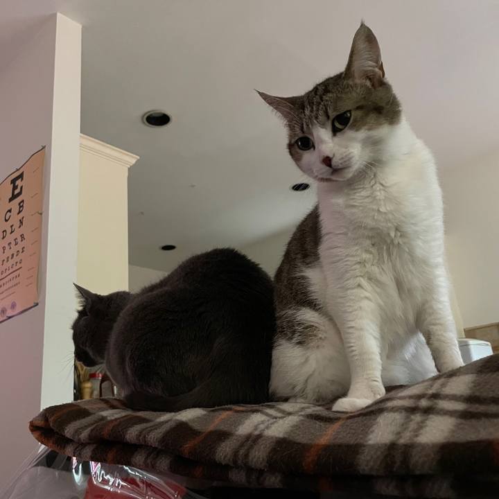 Defbd4a0 4a4c 4107 8db2 8917c89b7d8b 1695344576269