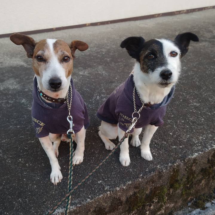 Defbe9f1 3a98 4063 be1b 422197cae520 1770245750119