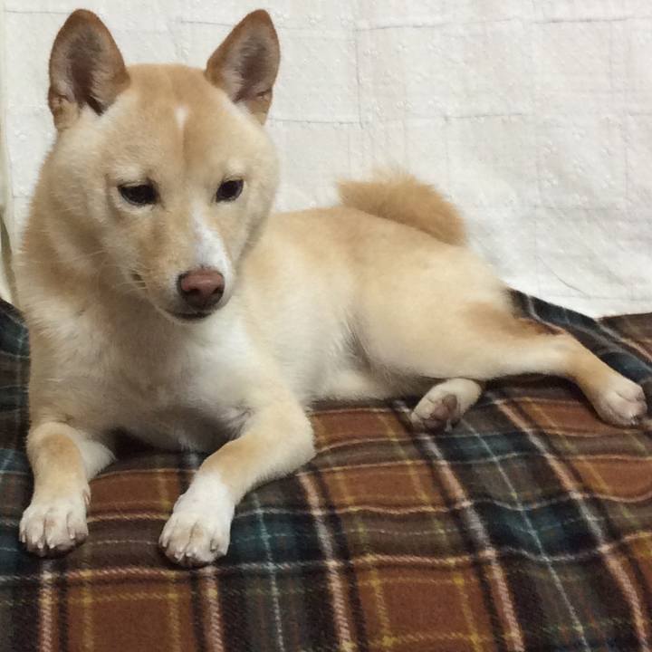 Defc01e8 4da3 4d75 9908 d977531febc3 1509876726701