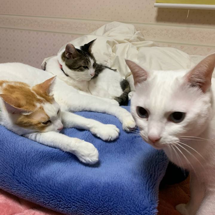 Defc0315 074c 4425 805d 1c7bd8316346 1574869819932