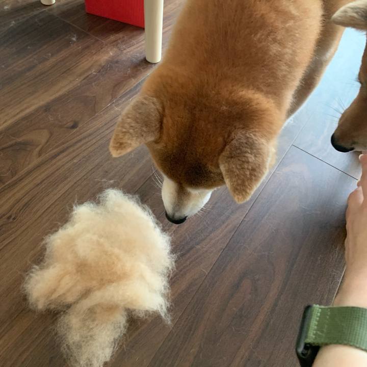 Defc41e7 5ec4 44a2 a060 8438cc2f6937 1623897821918