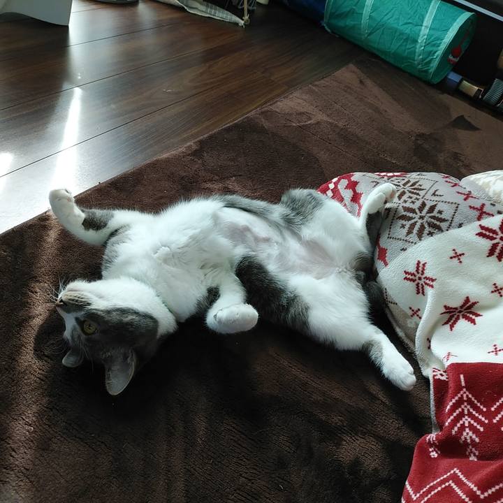 Defc472c a777 46e2 95de f12df24acb74 1585805593490