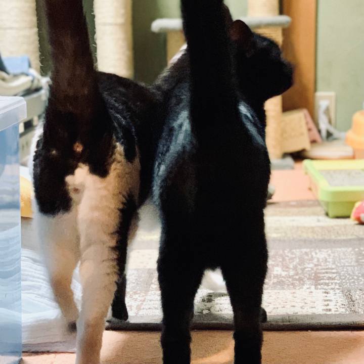 Defc5197 c306 45af 8311 9f03f0a10059 1610333494096