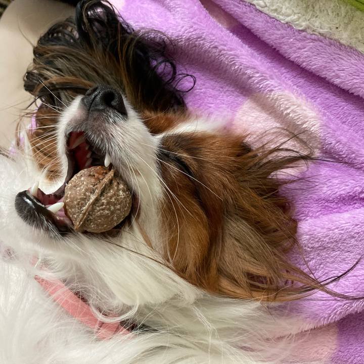 Defc625d d6dd 4b3d a50f 1a33b81c9c71 1633062176698