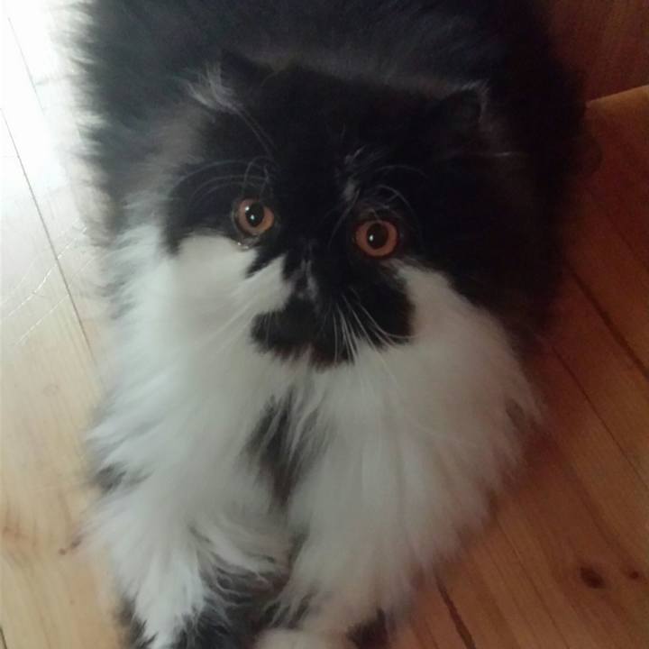 Defc8c33 f90a 4881 9bcd 8ad5a6edd2ae 1525304573605