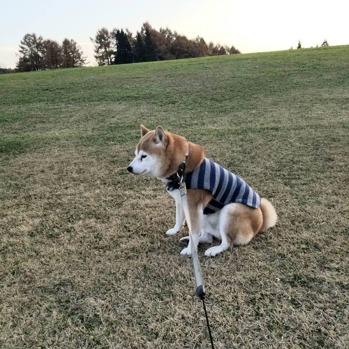 Defc90dd 88b2 423a a419 46ba028e2d37 1637305787708