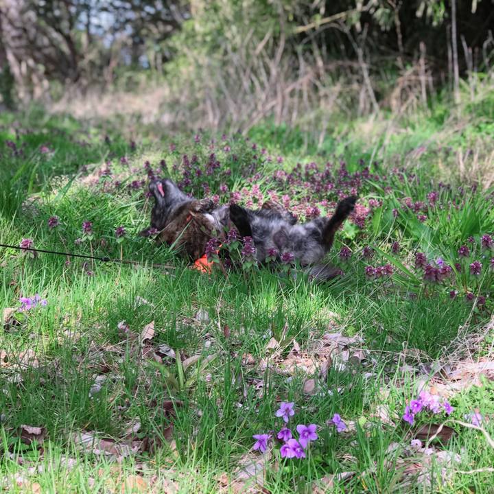 Defc9349 3f82 43f8 aba9 cbc2b9070905 1555232734214