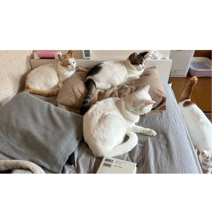 Defcb29c 0be3 4e80 8193 d1c0ba9decad 1686912879961