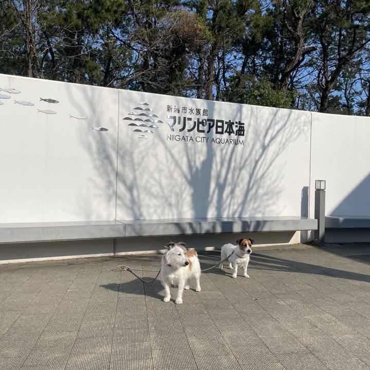 Defcefb8 0802 4a9e 8180 2c2b680484c7 1712359948579