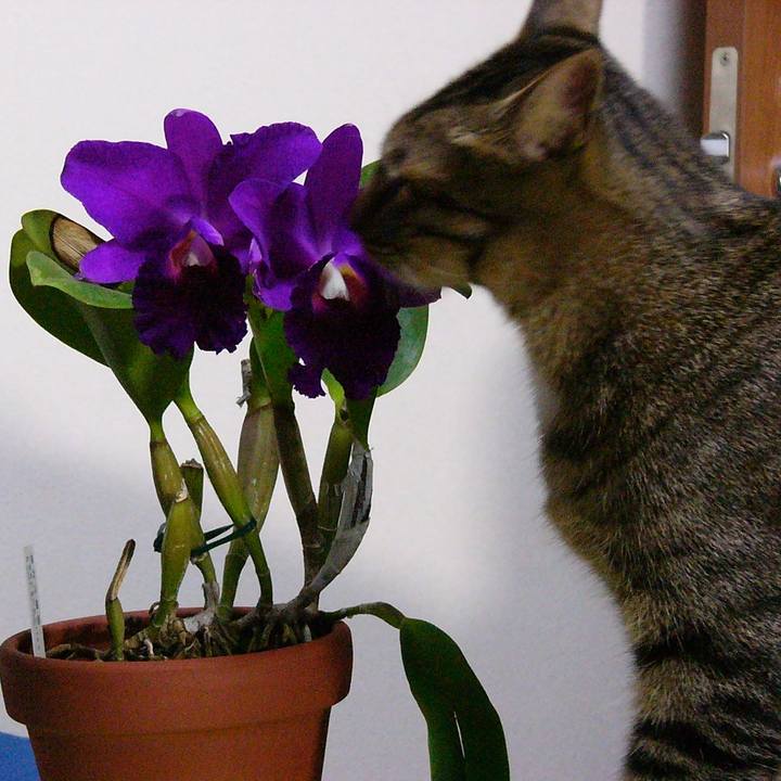 Defcf891 42ae 4e27 89eb 813622d9c5eb 1736683314754