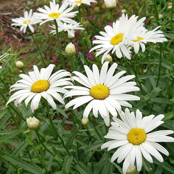 Defd7bef 122b 4d6c 9805 c7c4ed32c296 1655782337612