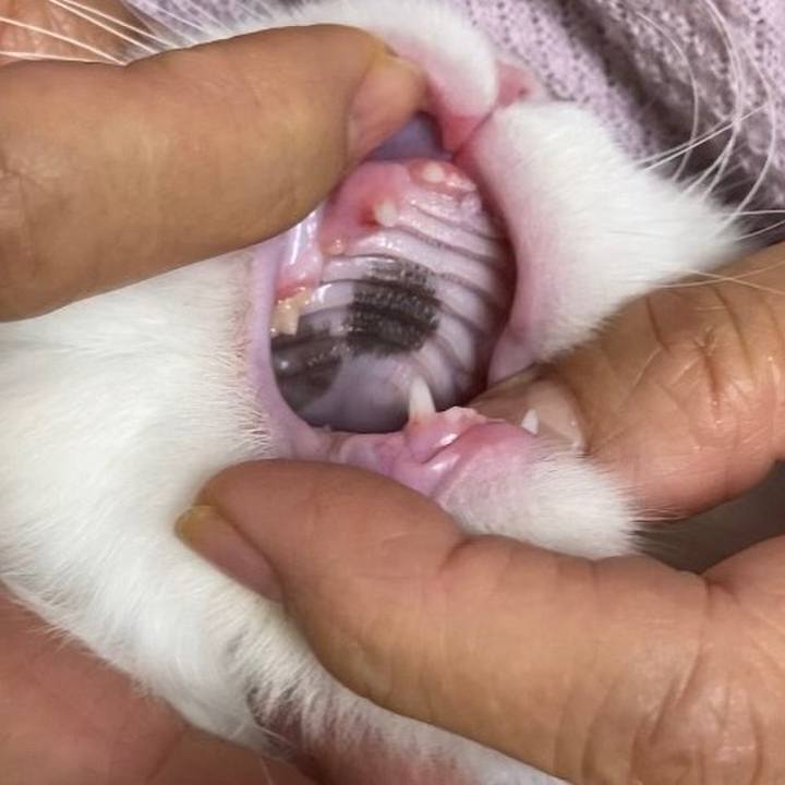 Defd8a1d c6c8 41ba a5ee 12761a813aca 1602312397260