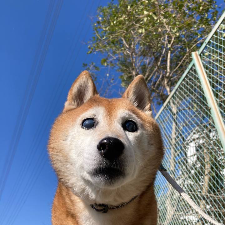 Defd9c25 917e 4400 bf57 5373f44f02c3 1744160755579