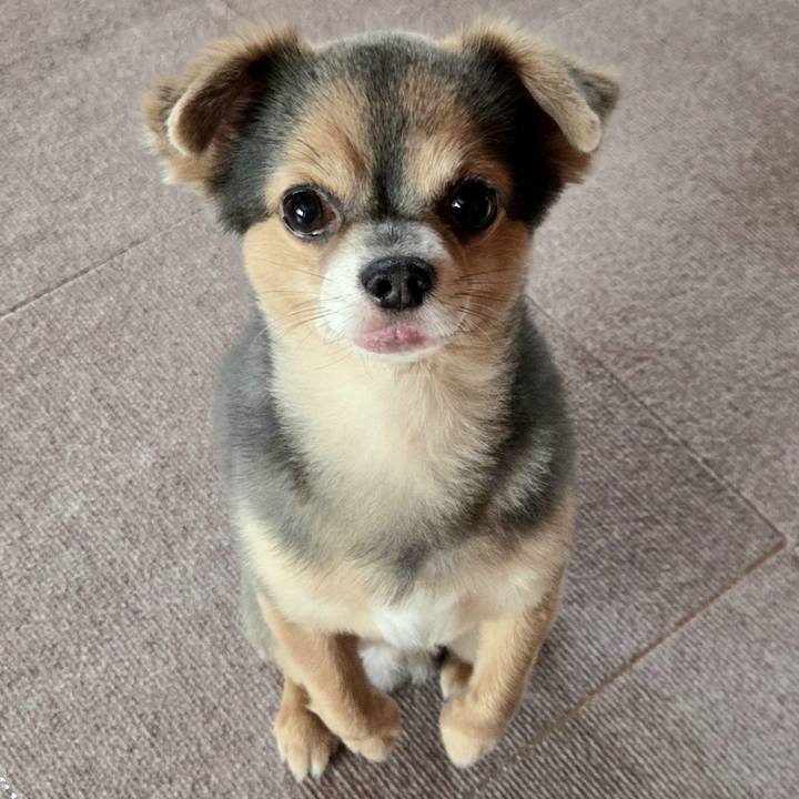 Defdcad9 845a 4a29 83bb 0c7d140f38d4 1761093904596