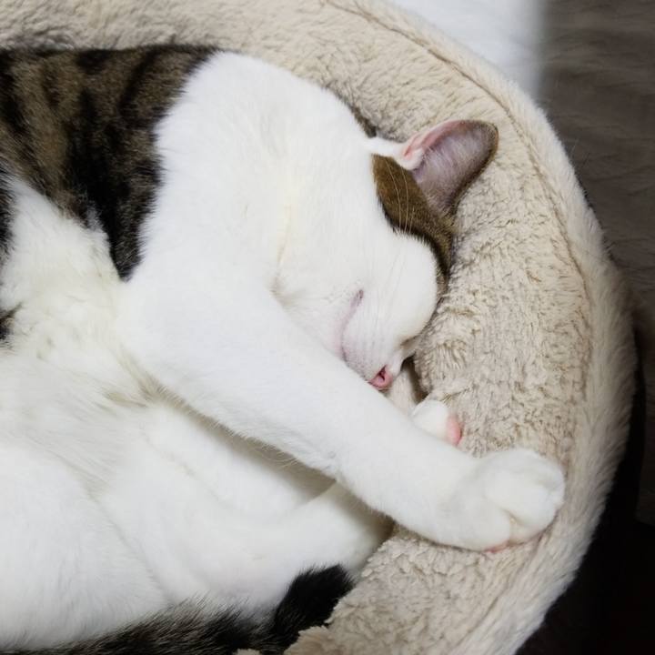 Defe08be e40f 4c2c 92ad 4fc777252be2 1587073241554