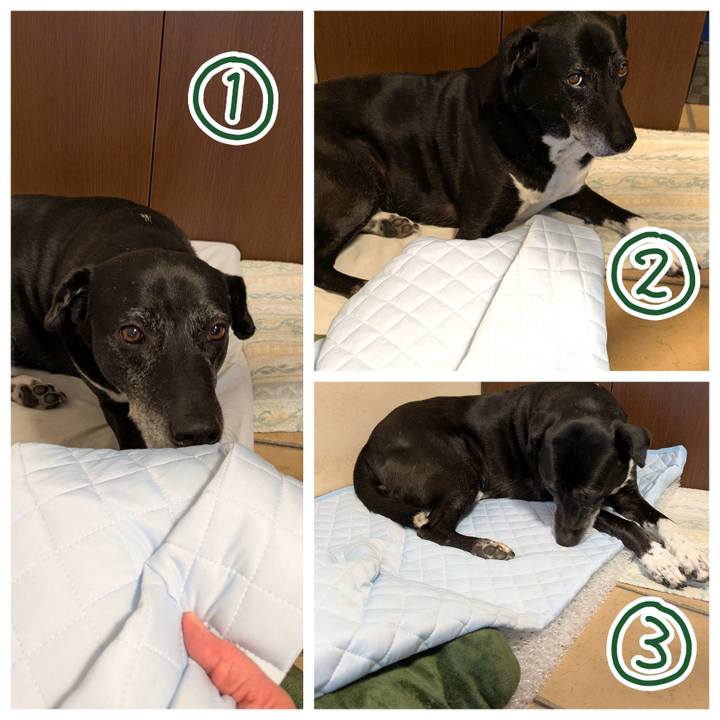 Defe2781 2333 48aa b919 9f24a6b0a813 1747875116026