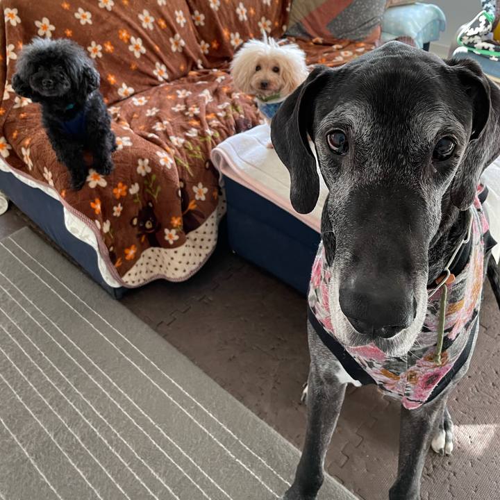 Defe634d befa 4caf af58 af38e308f088 1616453705990