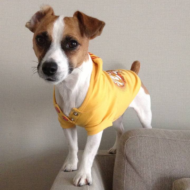 Defe6dc8 7533 4a77 b117 1980c3c7a729 1656930589352