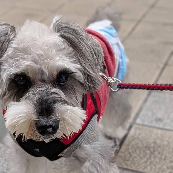 Defee633 0071 4ba6 a1f7 15976ff41468 1763003974573