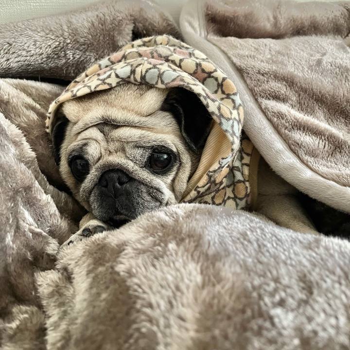 Defef362 702b 41c6 b6fd ffed74555250 1763627203180