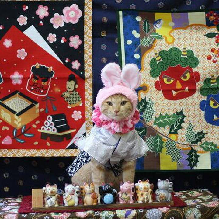 Deff0158 489a 40c4 9900 55f272b7fa02 1549070081958