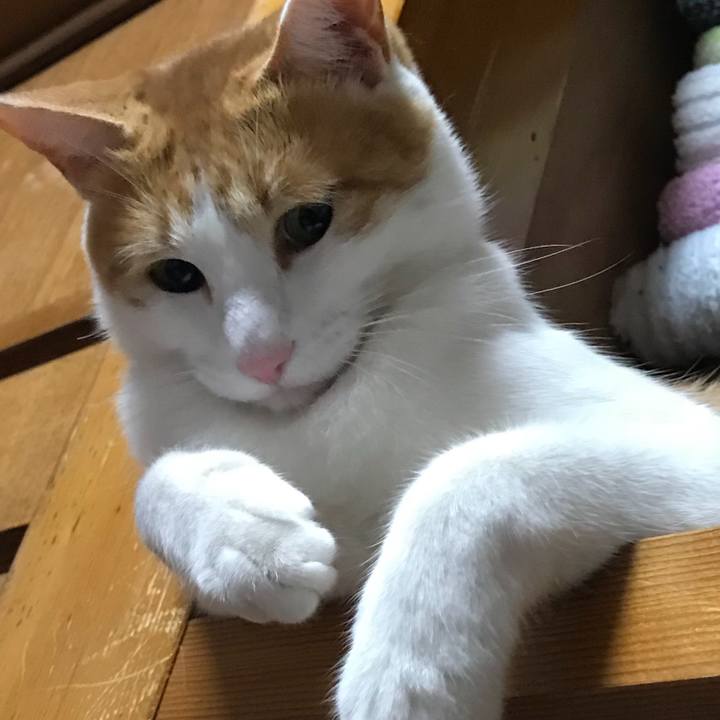 Deff0933 40be 4659 8757 18e7097cc967 1512037930638