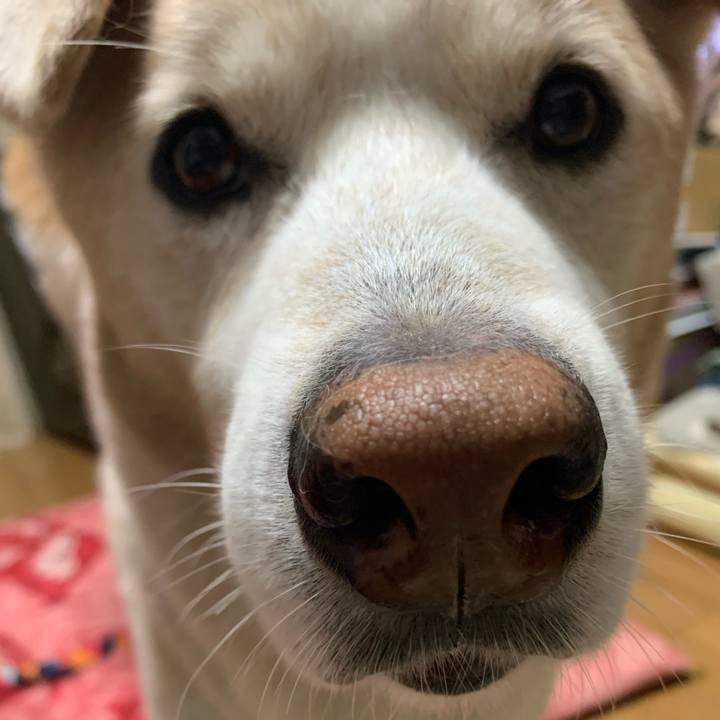 Deff3033 dfda 455b 8d23 ef594c4c5faa 1666779260148