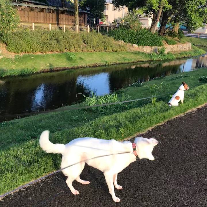 Deff4a78 8458 436e 9e07 7f753eb3b9fc 1527380376838