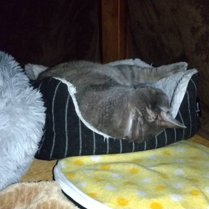 Deff57aa ae9d 48ae aaf8 837e095e4f2e 1640319439172