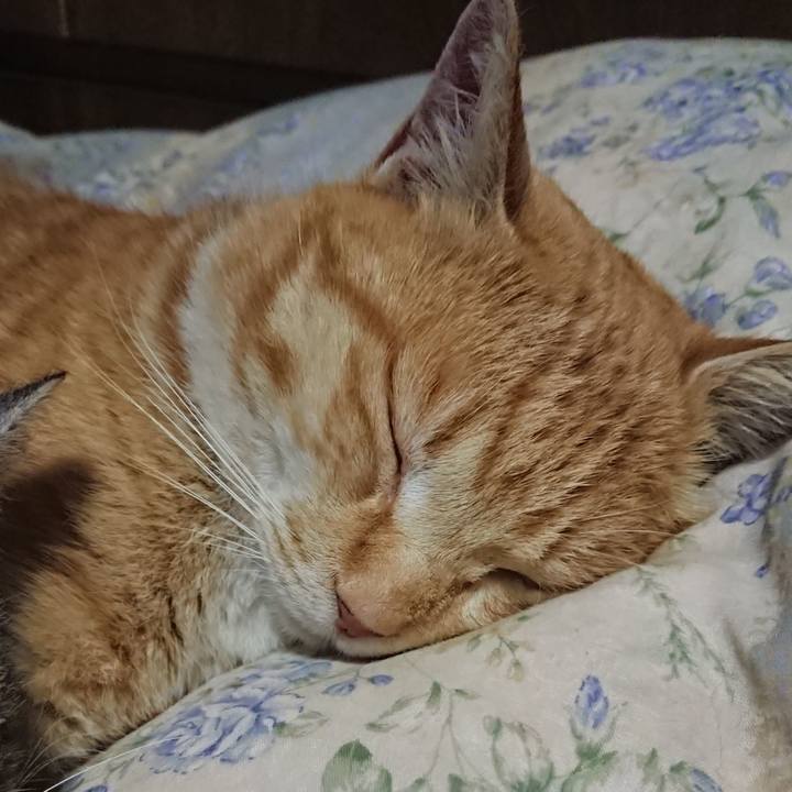 Deff82a8 f2b0 4bee 9ba7 0a7ed33ffbf9 1582288082336