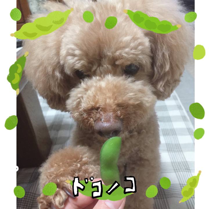 Deffb6cc 1eab 42e0 894a 19047500f3e0 1720823718081