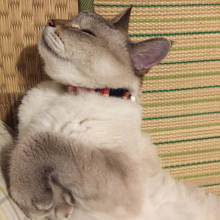 Deffe1f3 822c 4281 bfc6 9d6573ad245c 1566475378085