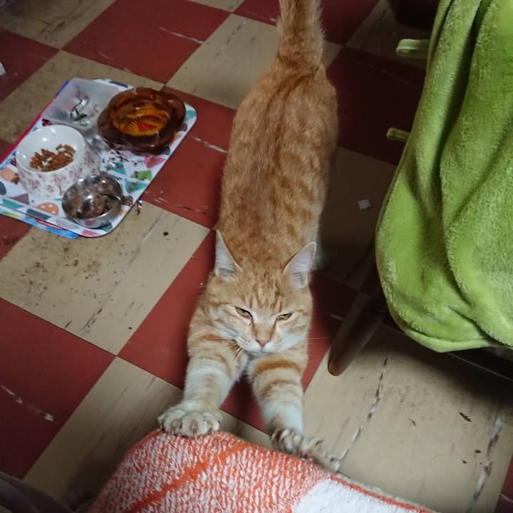 Df001a0c e618 47ab bffa 1fe9707a9701 1588547342437