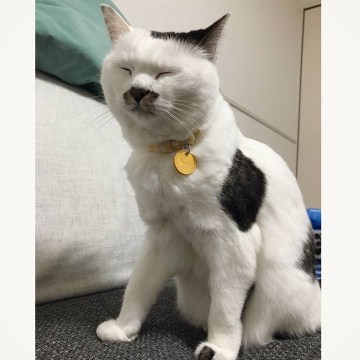 Df00273e 5cc6 421e a49b 070291a01b8d 1551775314444