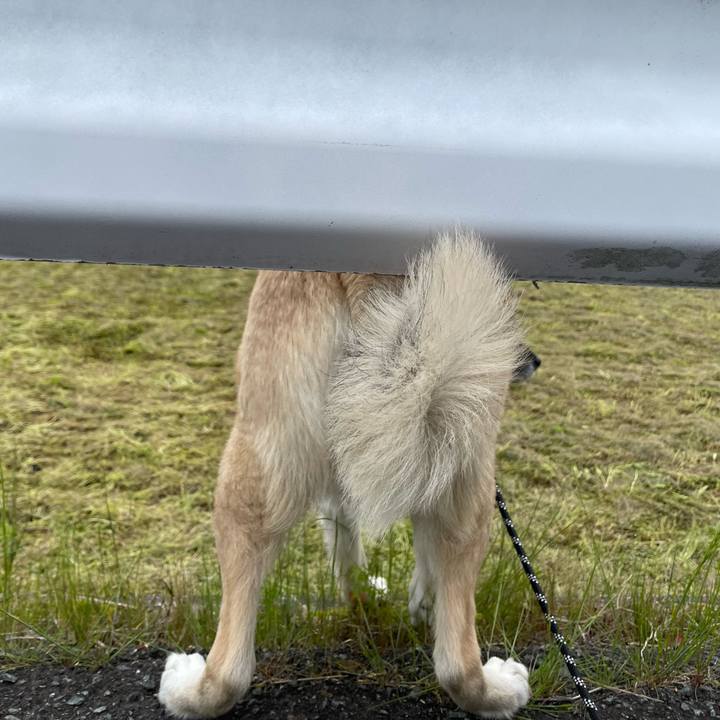 Df00275d 5826 4ef9 bf8c 0bcb3a4ee31a 1715170663183