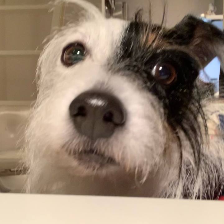 Df0095bb b197 47c5 9afb a4d91392012c 1640949300828